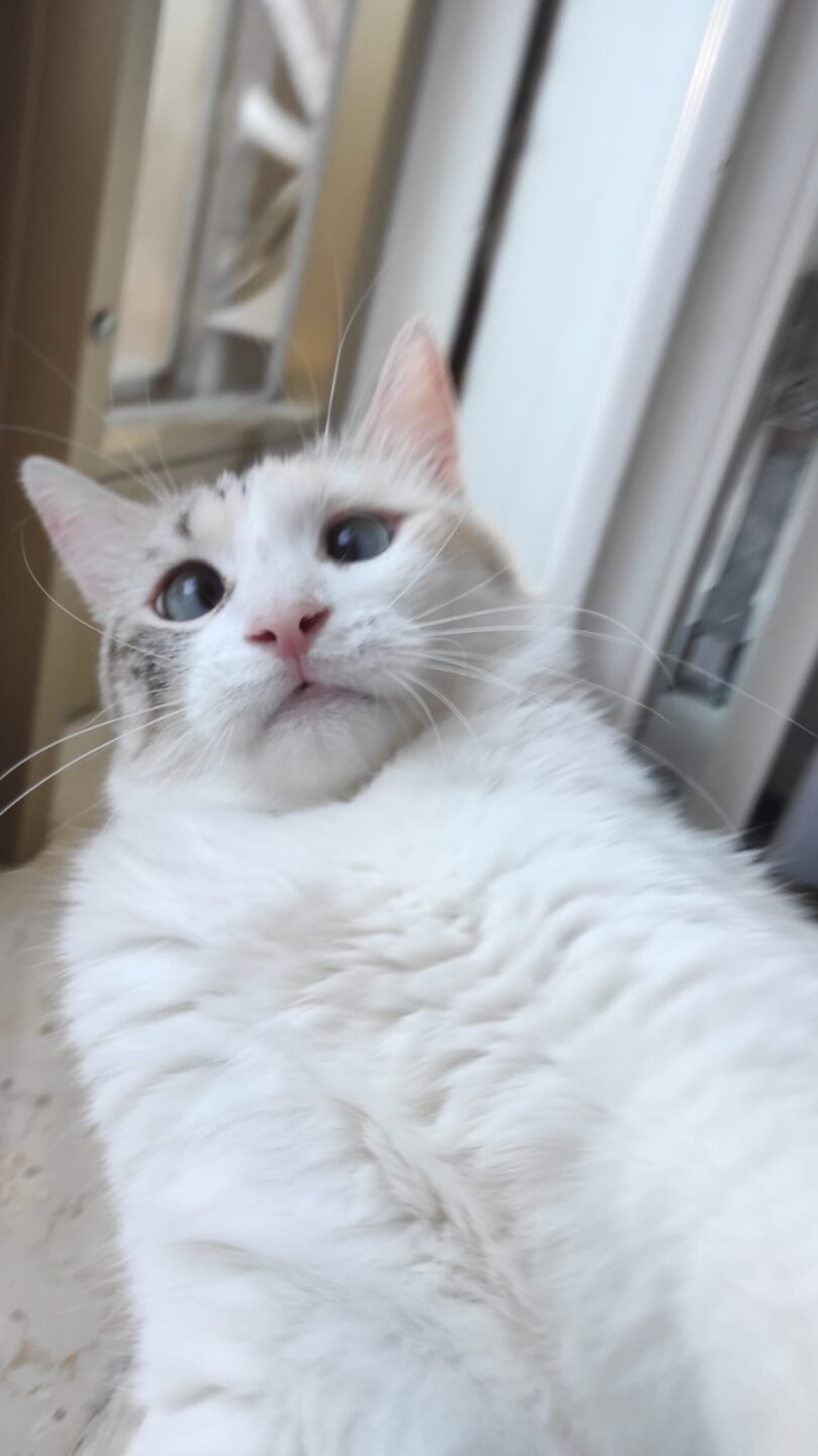 55EED2CB-A6A2-4B5C-A21B-33A3B2DACC63