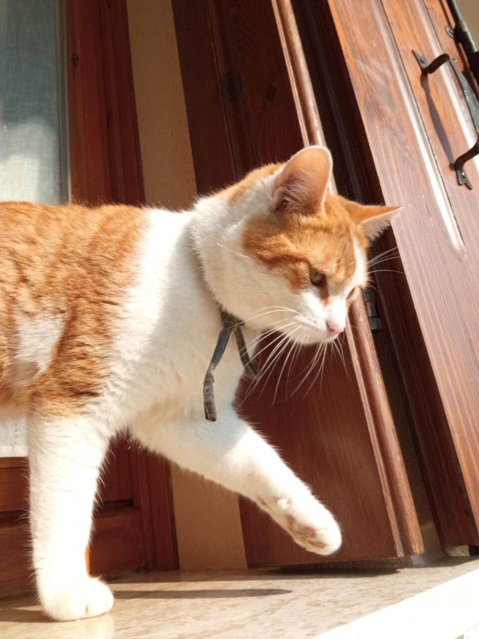 5C736573-9022-466F-82FF-E5BD76B59F0A