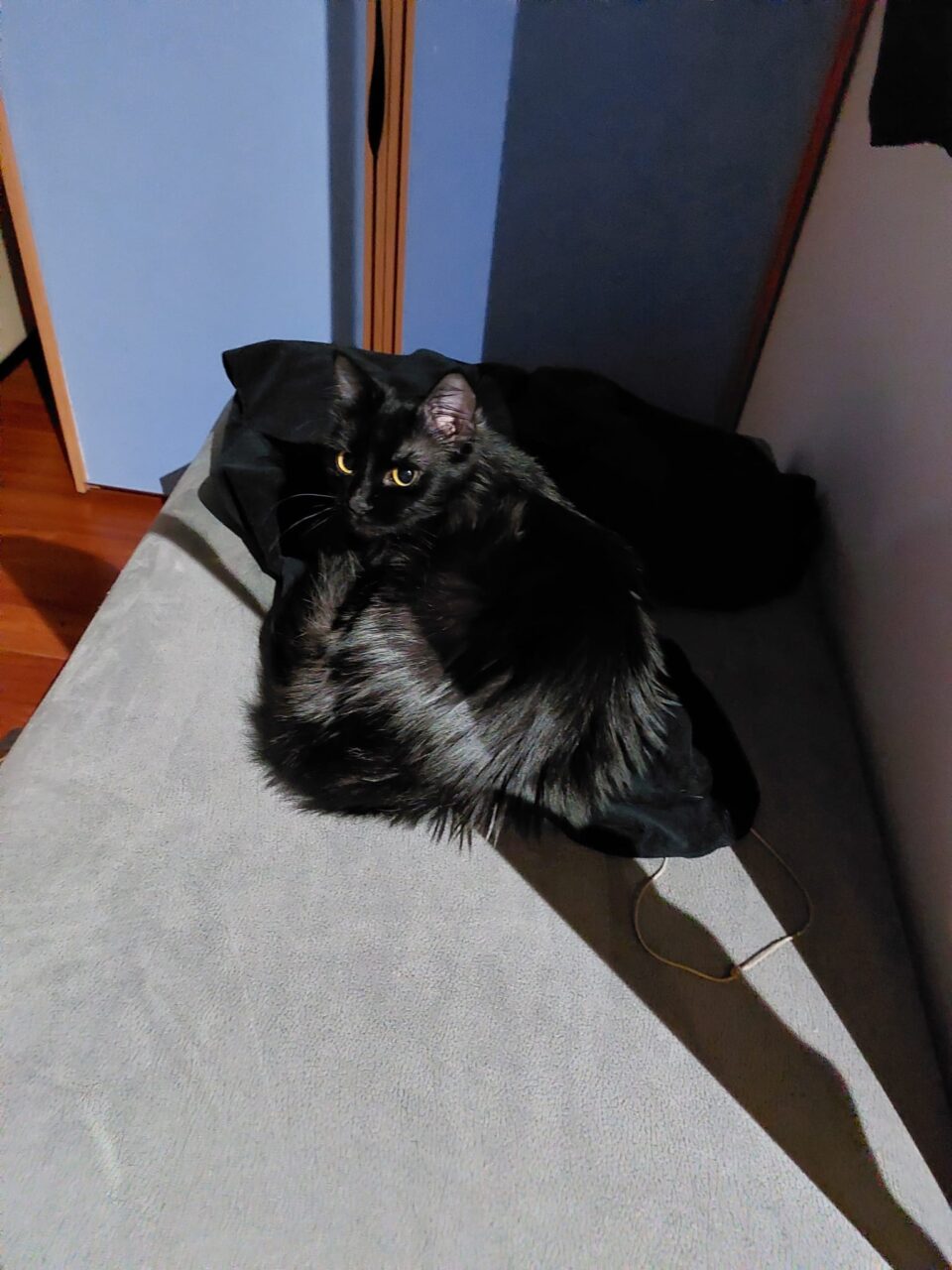 A23B8F83-D465-4215-A48C-F77EBBC83F28