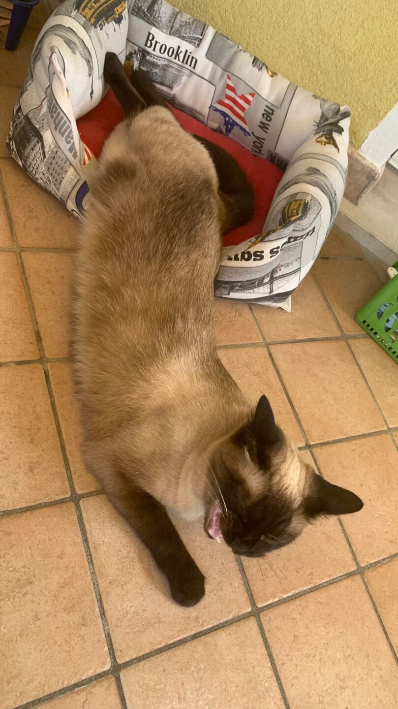 F4BC5554-58B2-444B-8B26-9BDA000C42C9